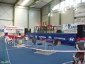 2006.gada Eiropas čempionāts roku cīņā - Ungārijā